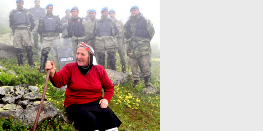 İçerik Alınlık Resmi