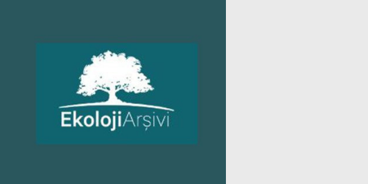 İçerik Alınlık Resmi
