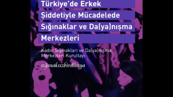  Türkiye’de Erkek Şiddetiyle Mücadelede Sığınaklar ve Da(ya)nışma Merkezleri İzleme Raporu