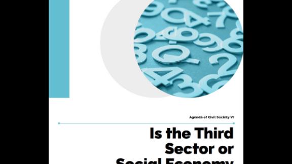 Is the Third Sector or Social Economy Sector Back?
