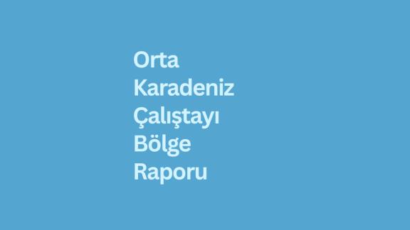 Orta Karadeniz Gençlik Çalıştayı Raporu yayınlandı