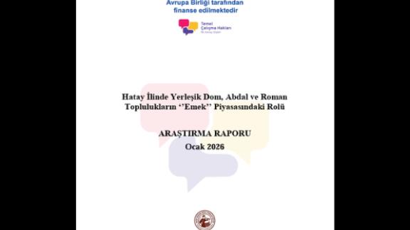 AB logo ve çeşitli kurum logoları içeren araştırma raporu kapağı, Ocak 2020
