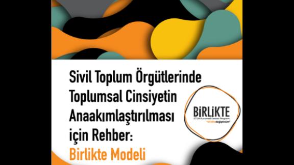 Renkli dalgalı arka plan üzerinde Birlikte Modeli rehberi kapağı