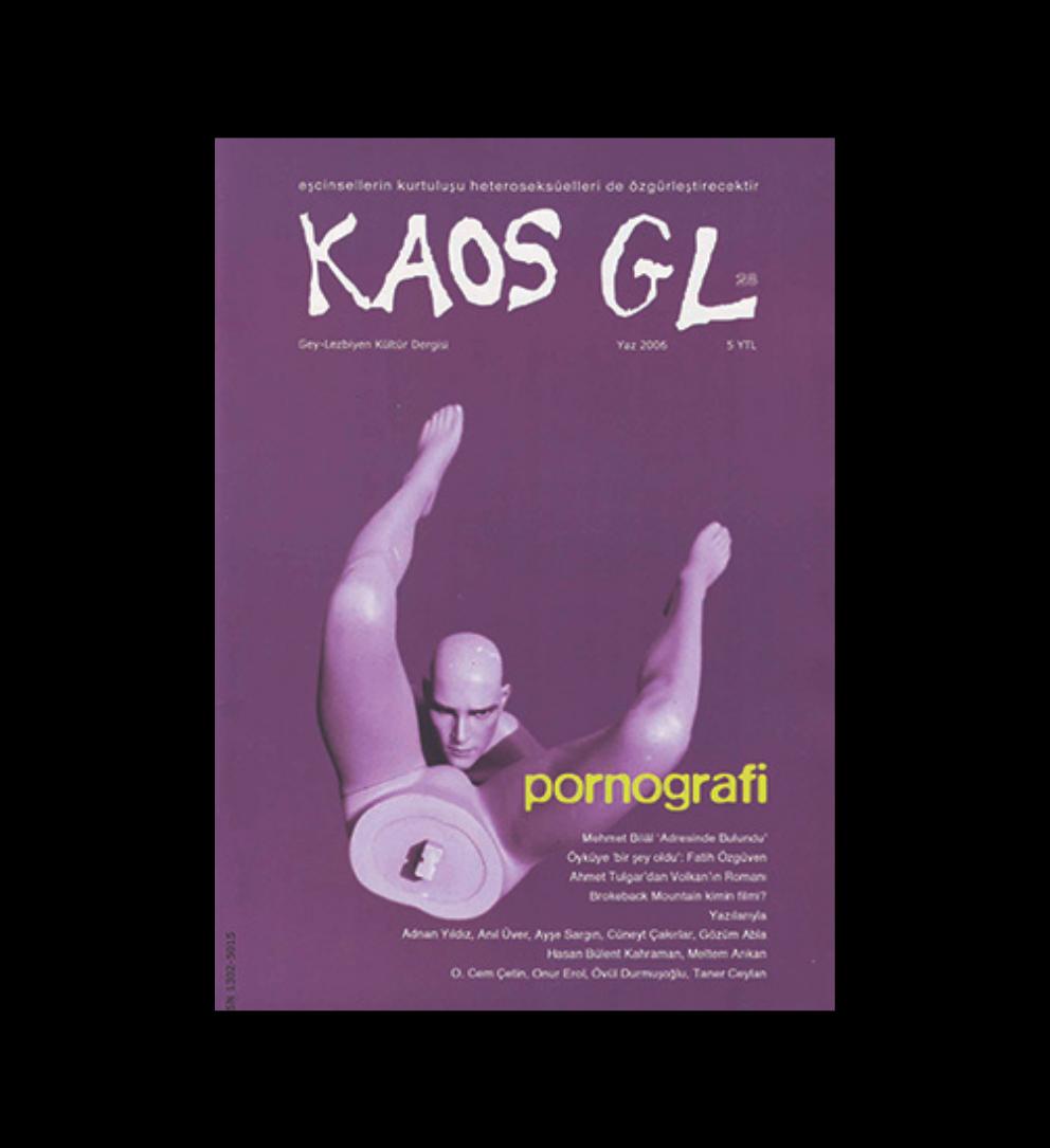 Avrupa İnsan Hakları Mahkemesi - Kaos GL / Türkiye Davası, Ayrıntılı Karar