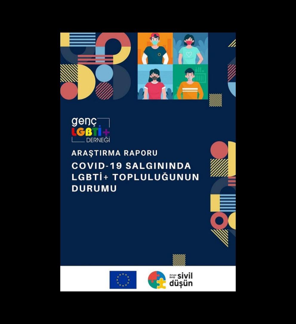 COVID-19 Salgınında LGBTİ+ Topluluğunun Durumu Araştırma Raporu