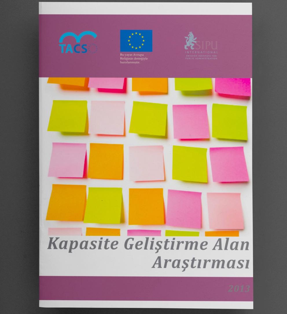 Kapasite Geliştirme Alan Araştırması 2013