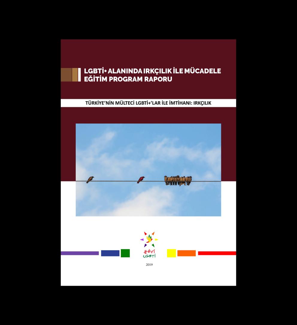 LGBTİ+ Alanında Irkçılık ile Mücadele Eğitim Program Raporu