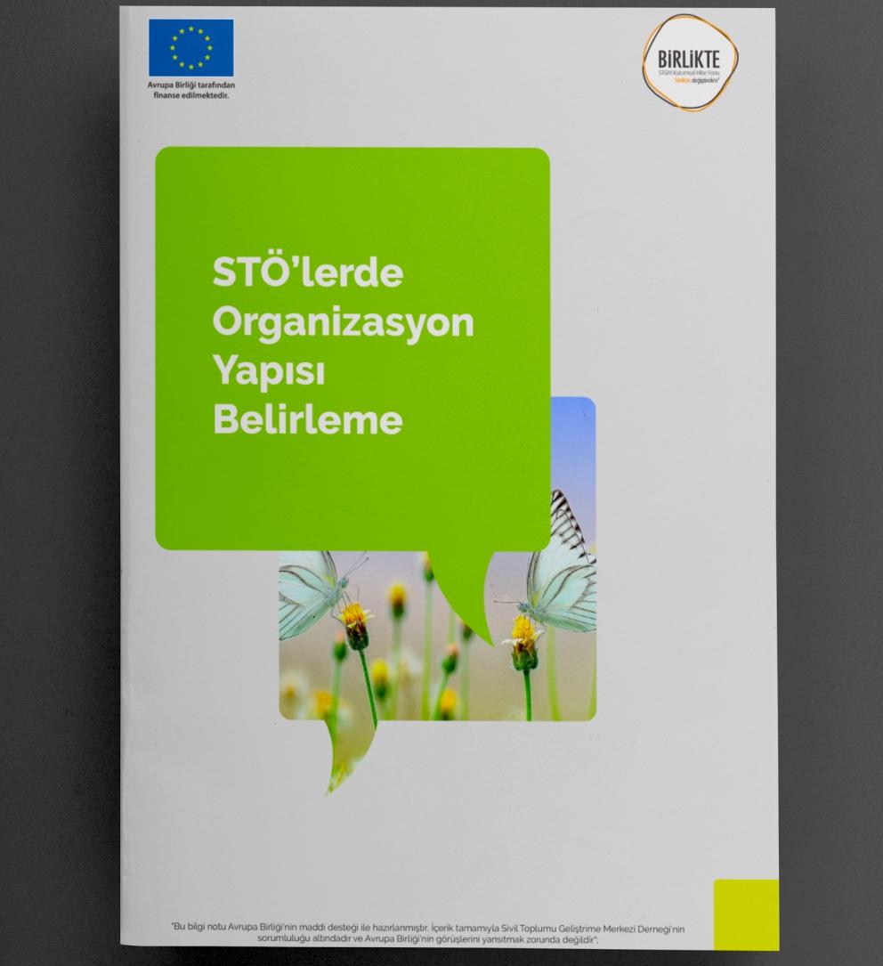 STÖ'lerde Organizasyon Yapısı Belirleme