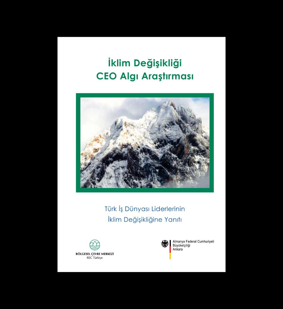 Türk İş Dünyası Liderlerinin İklim Değişikliğine Yanıtı_ CEO Algı Araştırması Sonuç Raporu