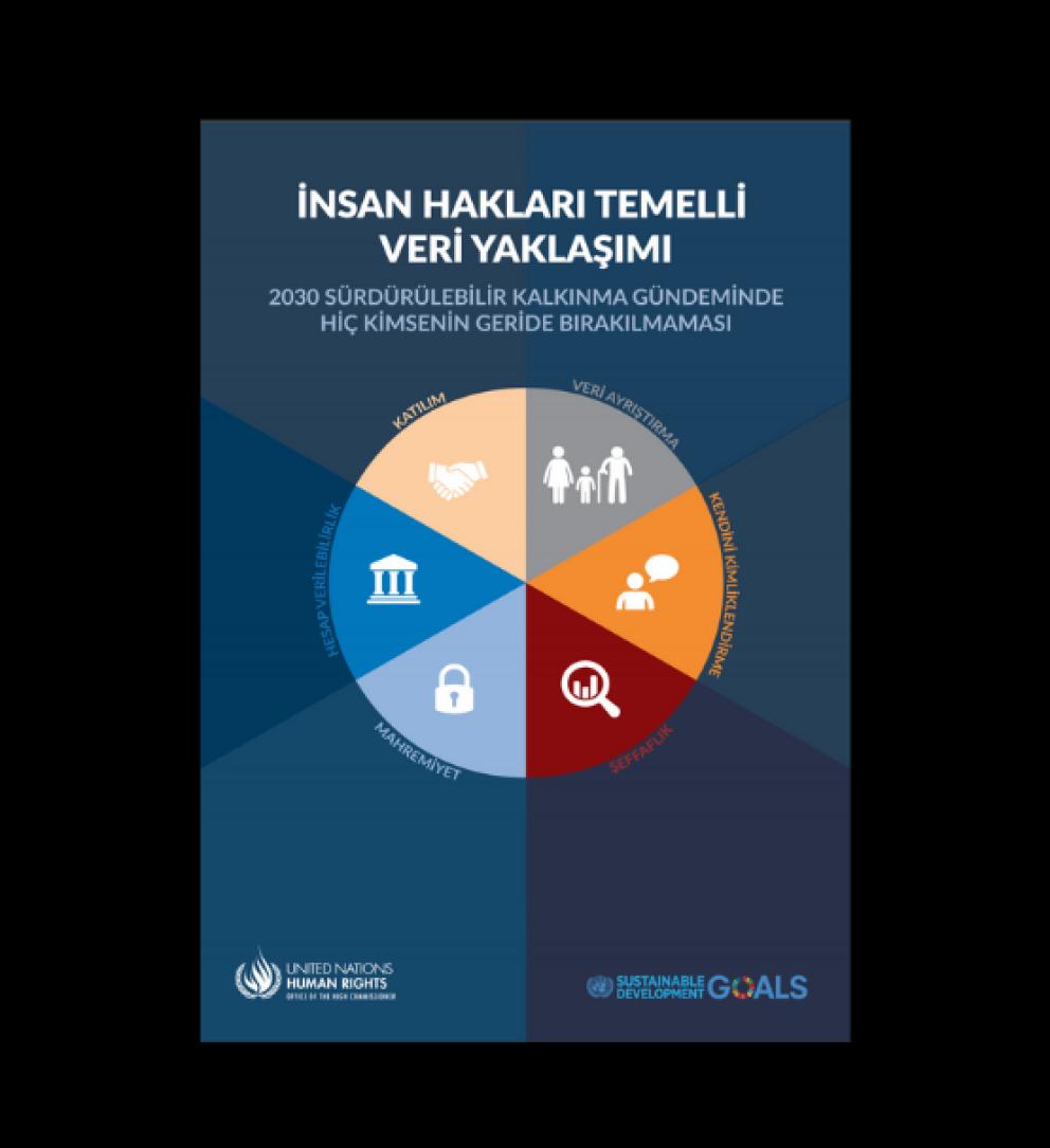İnsan Hakları Temelli Veri Yaklaşımı
