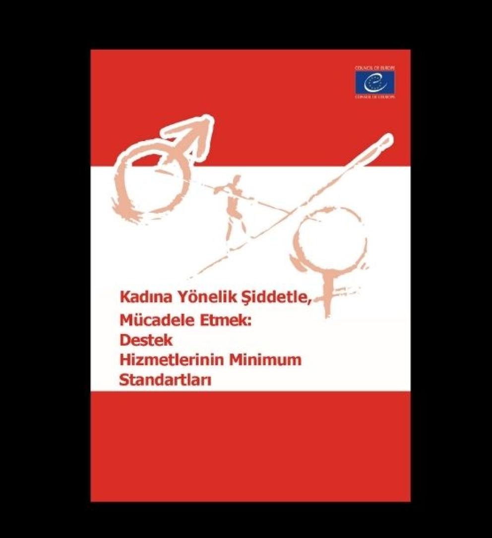 kadına yönelik şiddet