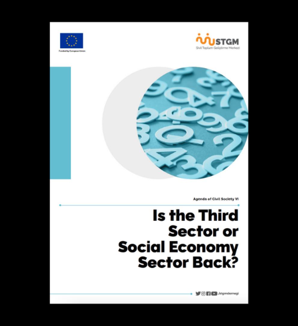Is the Third Sector or Social Economy Sector Back?