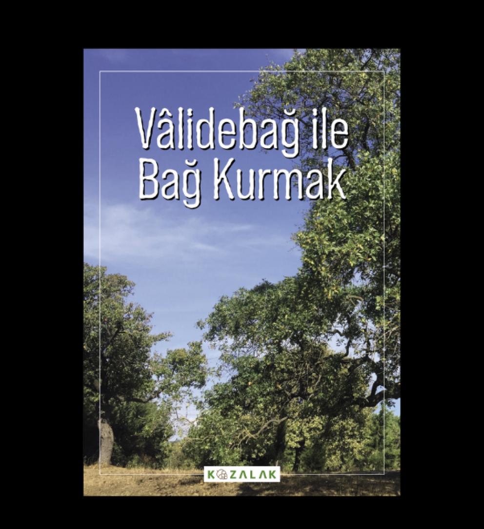 Validebağ Korusu