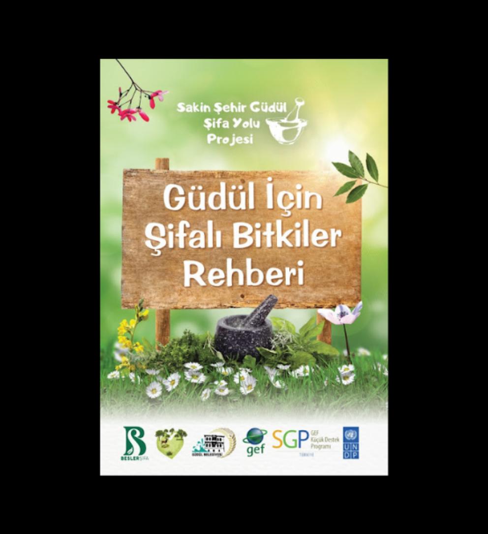 Güdül için Şifalı Bitkiler Rehberi