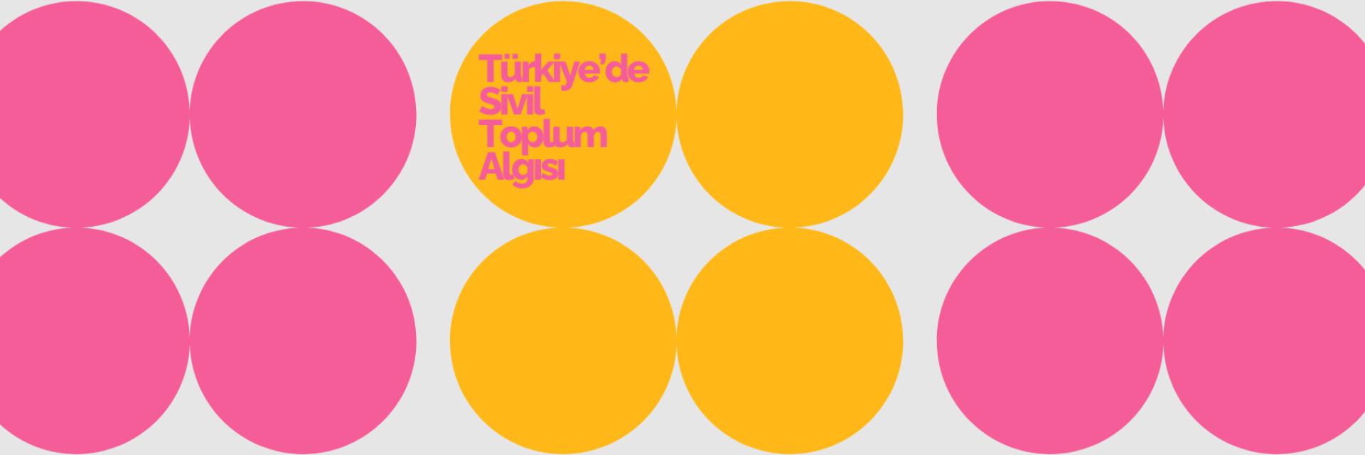 Türkiye’de Sivil Toplum Algısı