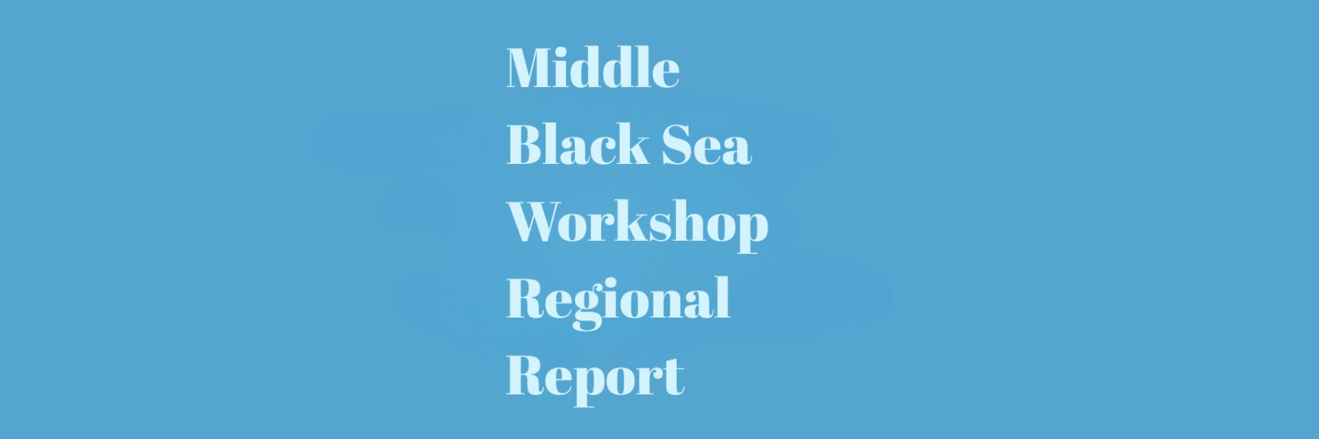 Middle Black Sea Youth Workshop Report published