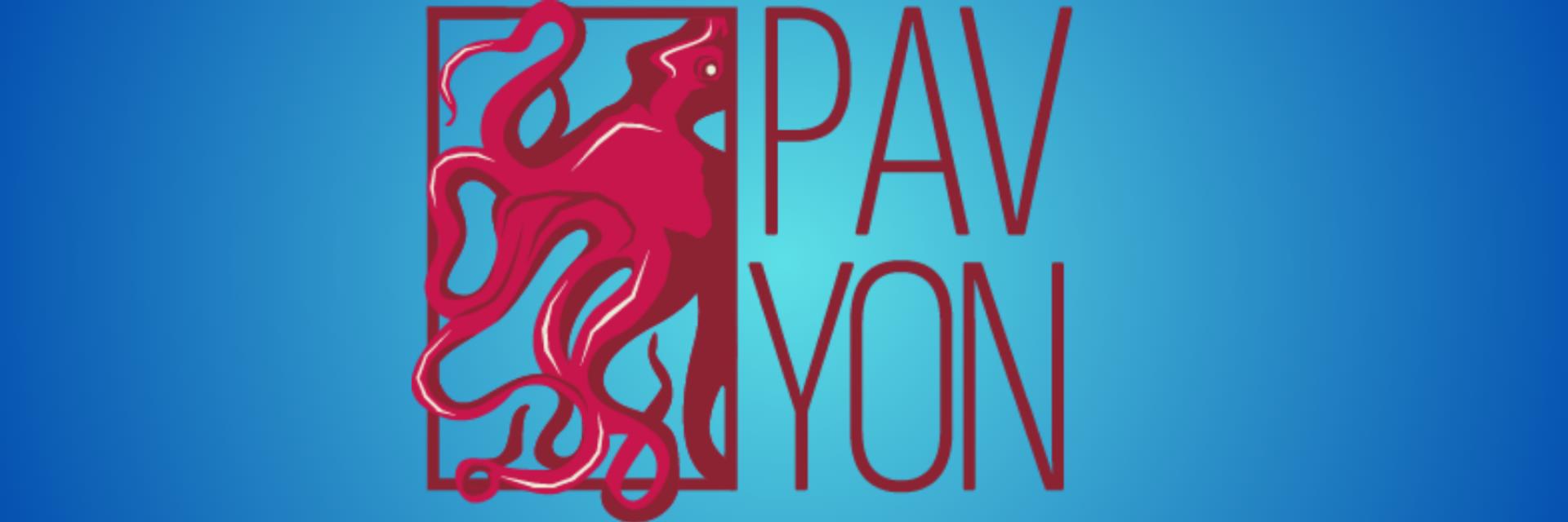 Pavyon Sanat