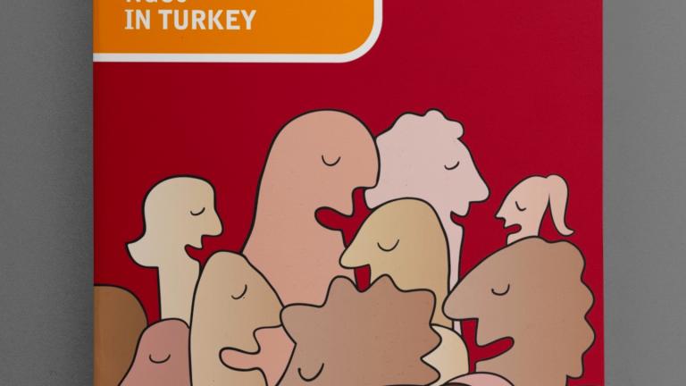 Issues and Resolutions of Rights-Based NGOs in Turkey