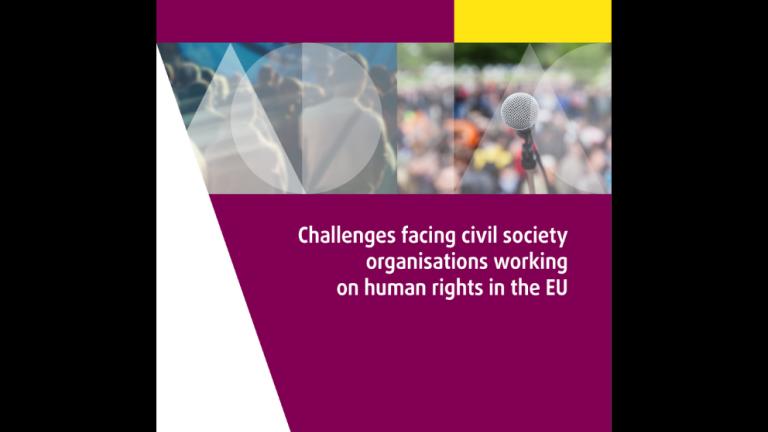 Avrupa Birliği'nde İnsan Hakları Alanında Çalışan Sivil Toplum Örgütlerinin Karşılaştıkları Zorluklar