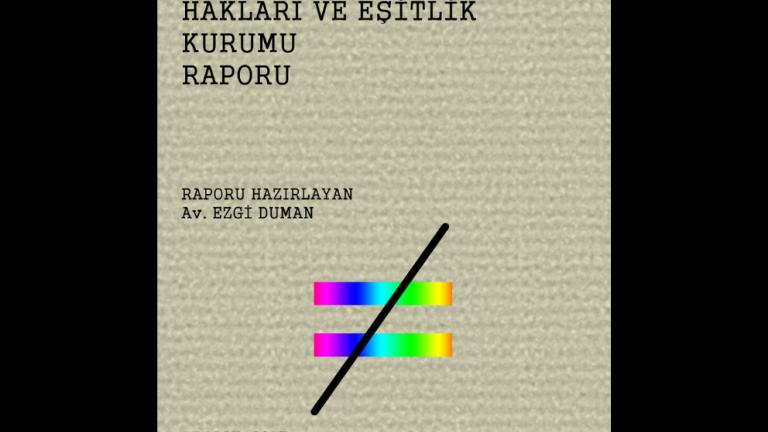 Ayrımcılık Yasağı ve Türkiye İnsan Hakları ve Eşitlik Kurumu Raporu