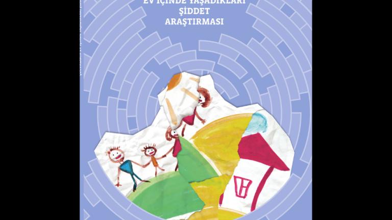 Çocukların Ev İçinde Yaşadıkları Şiddet Araştırması