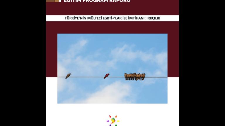 LGBTİ+ Alanında Irkçılık ile Mücadele Eğitim Program Raporu