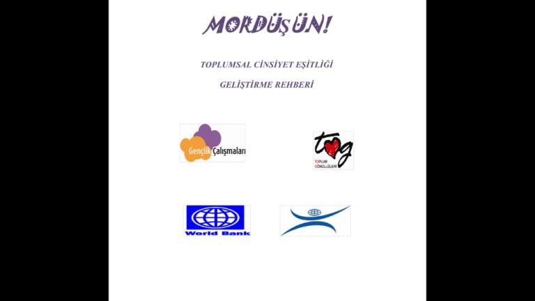 Toplumsal Cinsiyet Eşitliği Geliştirme Rehberi