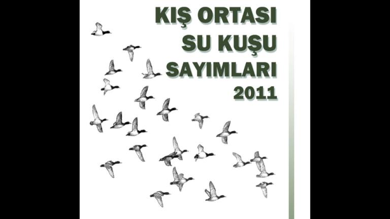 Türkiye Kış Ortası Su Kuşu Sayımları 2011