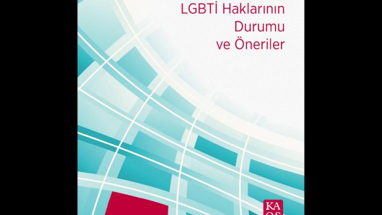 Türkiye’de LGBTİ Haklarının Durumu ve Öneriler