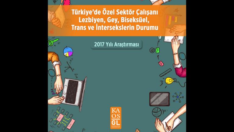Türkiye’de Özel Sektör Çalışanı Lezbiyen, Gey, Biseksüel, Trans ve İntersekslerin Durumu 2017 Yılı Araştırması