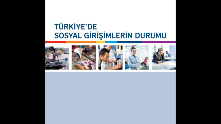 Türkiye’de Sosyal Girişimlerin Durumu Araştırma Raporu