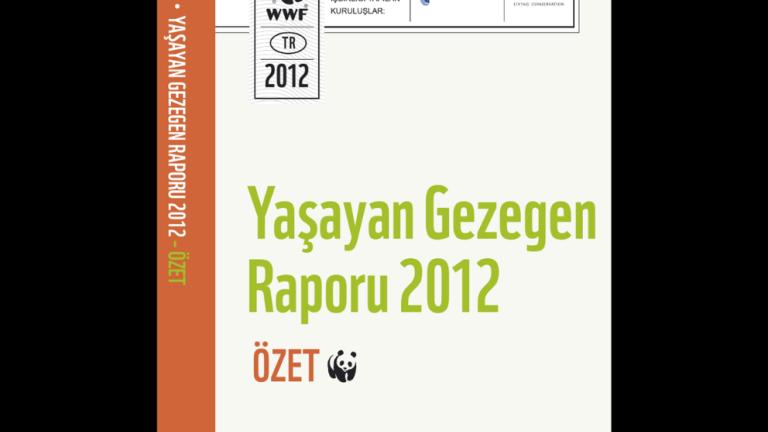 Yaşayan Gezegen 2012 Raporu