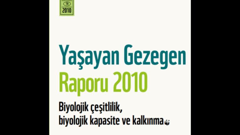 Yaşayan Gezegen Raporu 2010