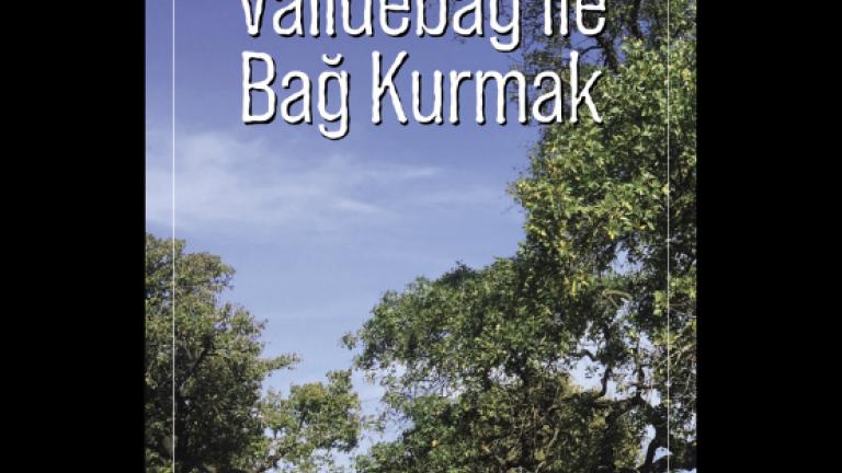 Validebağ Korusu