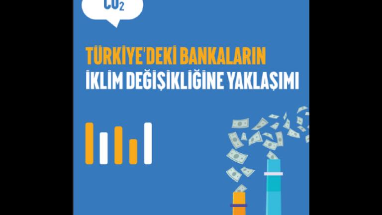 Türkiye’deki Bankaların İklim Değişikliğine Yaklaşımı