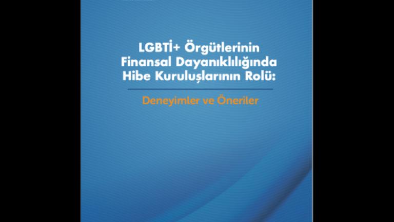 LGBTİ+ Örgütlerinin Finansal Dayanıklılığında Hibe Kuruluşlarının Rolü: Deneyimler ve Öneriler