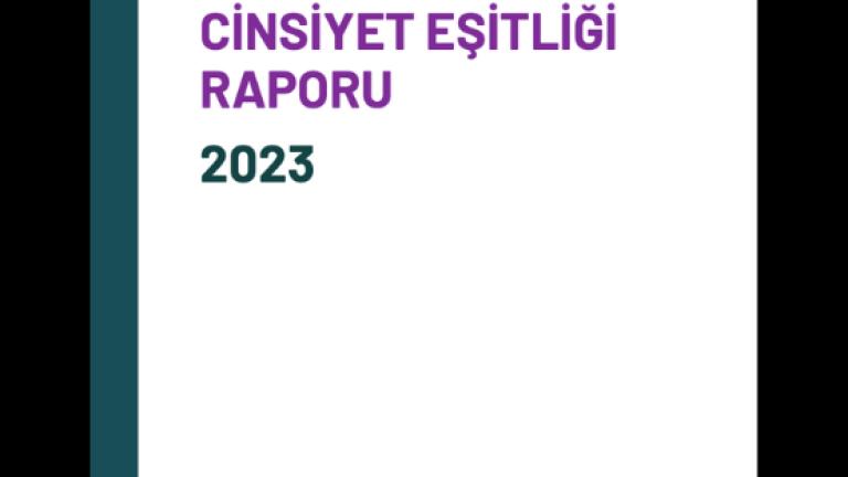 Sporda Toplumsal Cinsiyet Eşitliği Derneği Raporu