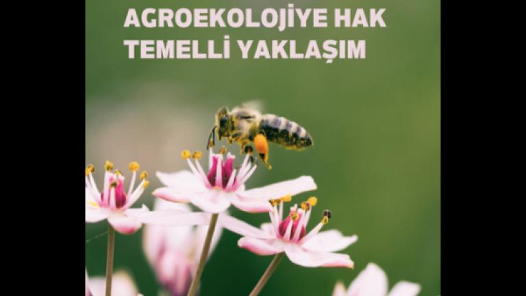 Agroekolojiye Hak Temelli Yaklaşım