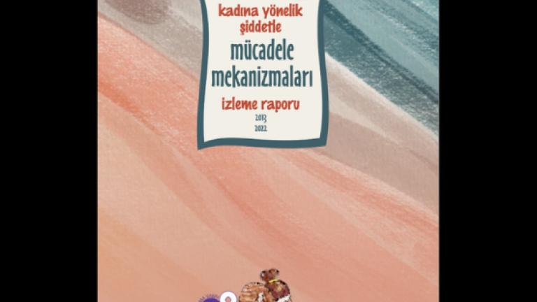 Kadına Yönelik Şiddetle Mücadele Mekanizmaları İzleme Raporu