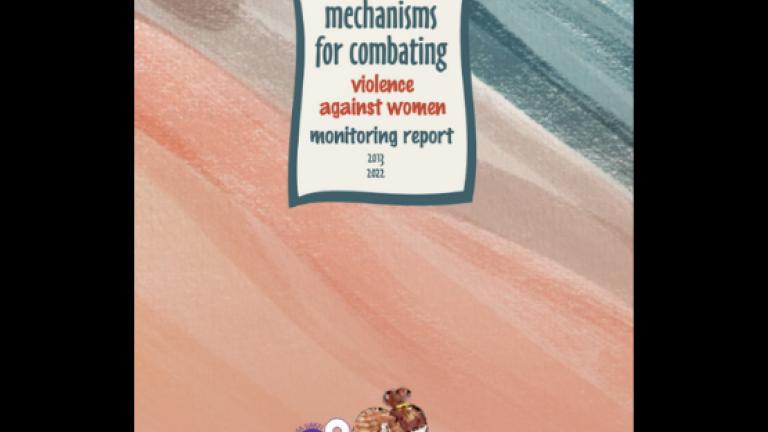 Mechanisms for Combating VAW Monitoring Report