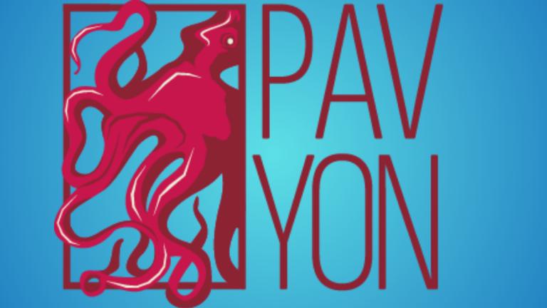 Pavyon Sanat