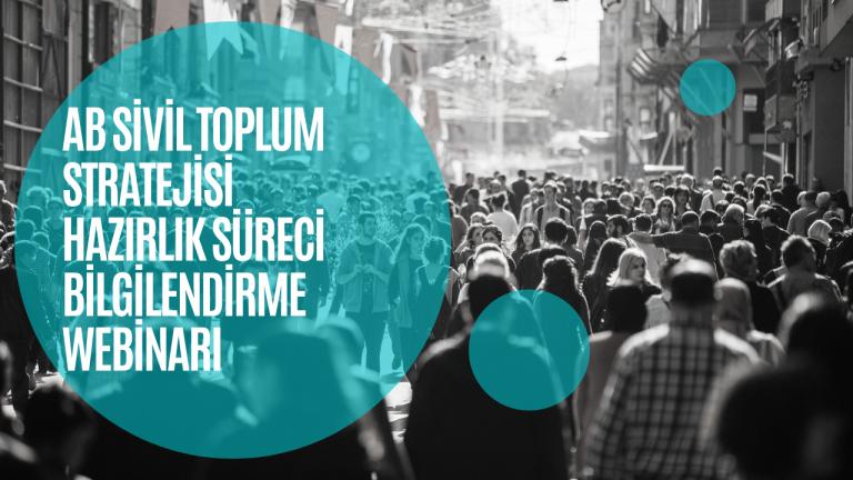 Avrupa Birliği Sivil Toplum Stratejisi