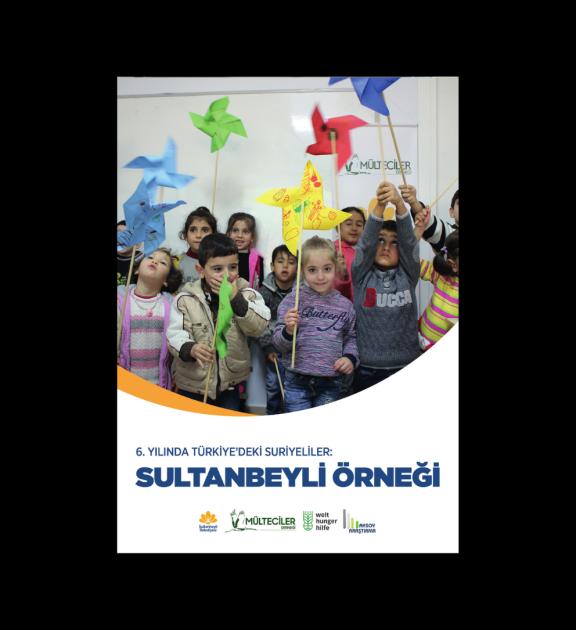 6. Yılında Türkiye’deki Suriyeliler: Sultanbeyli Örneği