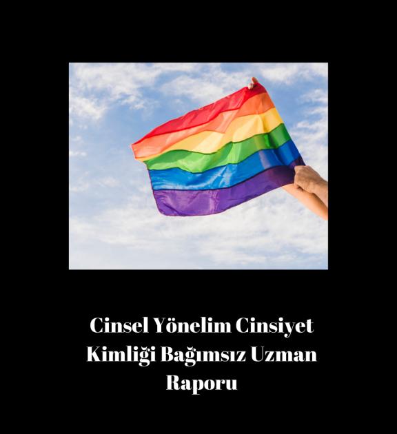 Cinsel Yönelim ve Cinsiyet Kimliği Bağımsız Uzman Raporu