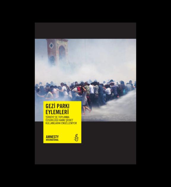 Gezi Parkı Eylemleri Türkiye’de Toplanma Özgürlüğü Hakkı Şiddet Kullanılarak Engelleniyor
