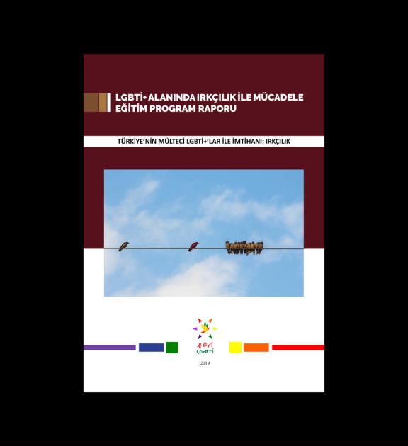 LGBTİ+ Alanında Irkçılık ile Mücadele Eğitim Program Raporu