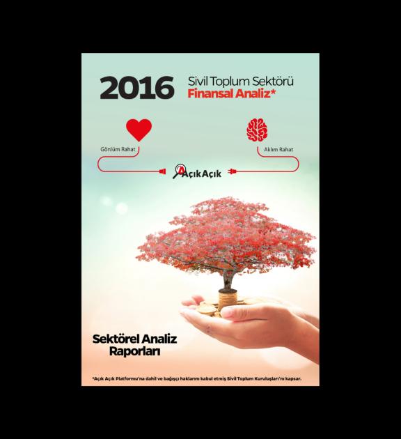 Sivil Toplum Kuruluşları'nın 2016 yılı Finansal Analizi