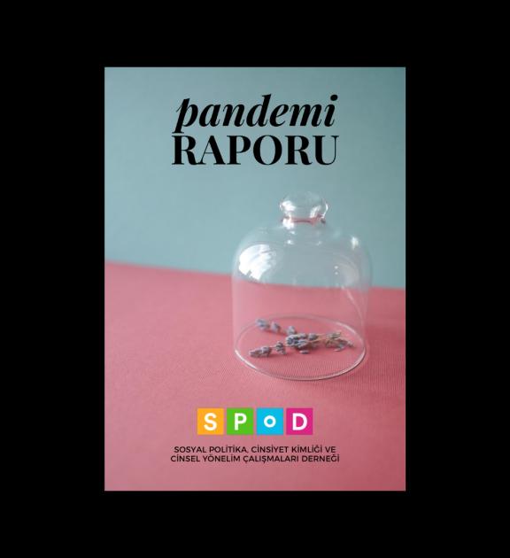 SPoD'dan Pandemi Raporu COVID-19'un Üç Ayında LGBTİ+'lar