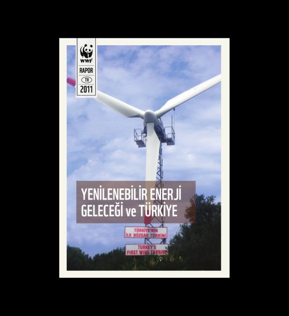 Yenilenebilir Enerji Geleceği Ve Türkiye