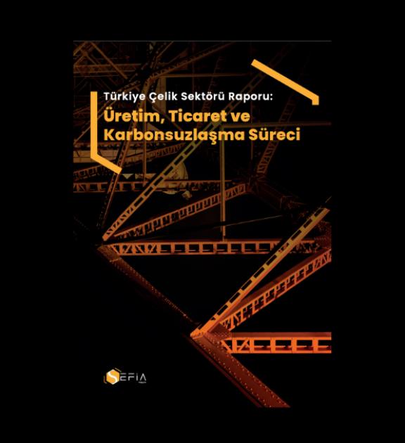 Türkiye Çelik Sektörü Raporu